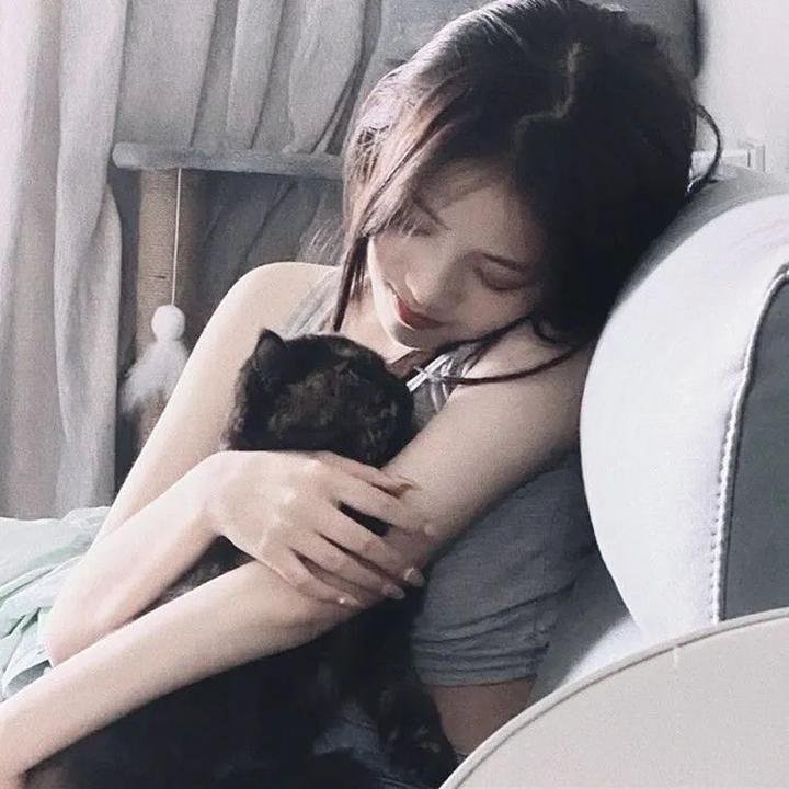 菜鸟老警第五季